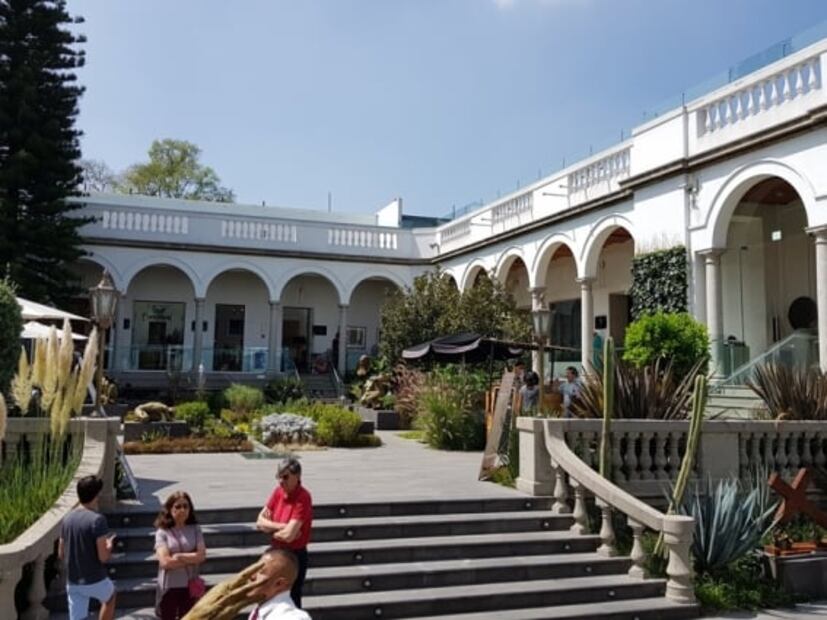 7 cosas que hacer cuando visites el barrio de San Ángel