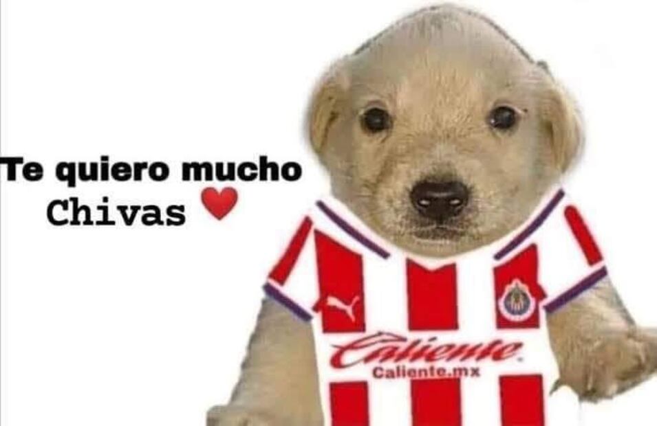 Memes tras el Chivas vs Pumas - Foto: Especial