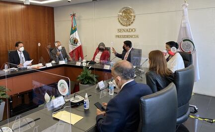 Expresa Comisión Permanente “profunda preocupación” por situación política en Nicaragua
