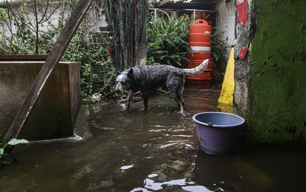 Itzel Rosas comenta “aquí en Caltongo nunca hemos tenido drenaje, la mayoría de casas solo tenemos fosas sépticas. Esto empeora mucho la situación porque no hay para donde se vaya el agua más que para el canal”. Foto: Gabriel Pano/EL UNIVERSAL