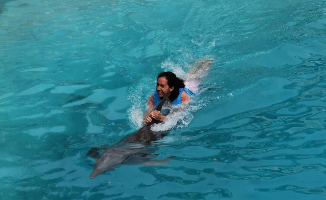 Profepa respalda propuesta que prohíbe operación de delfinarios en México; “es una práctica que ya no podría prevalecer”, asegura Mariana Boy. Foto: Adriana Varillas