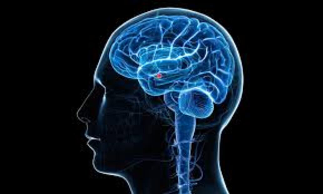 ¿Por qué mentimos?; esto es lo que ocurre en nuestro cerebro cuando lo hacemos