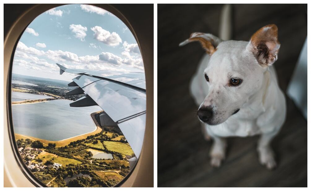 Imagen: Pexels / Unsplash