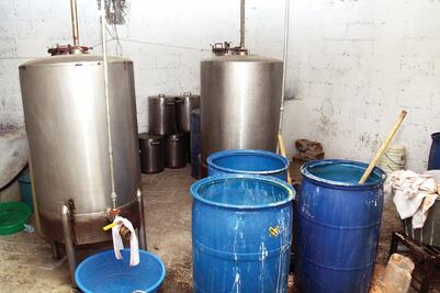 Fabrican cristal con vitamina de caballo