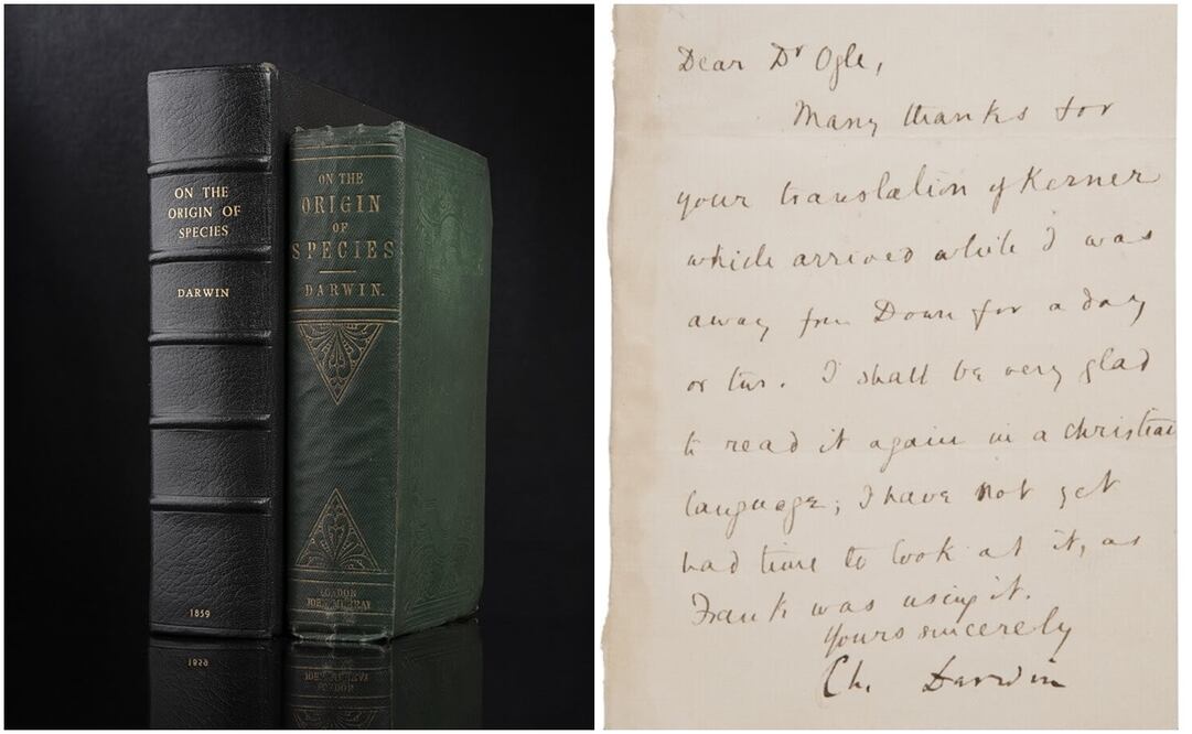 Fotos: Cortesía Morton