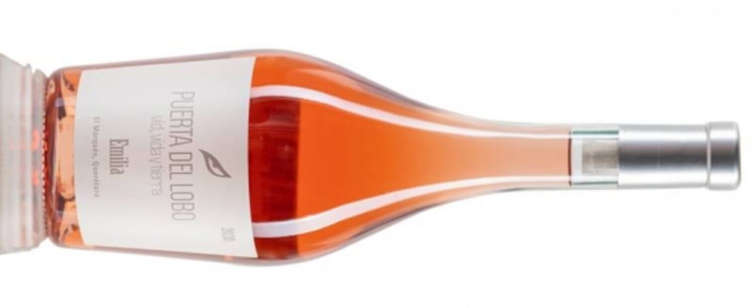 Aquí puedes leer gratis la Guía Universal de Vinos Mexicanos 2020