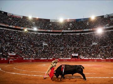 Las corridas de toros seguirán en la Plaza México; jueza niega suspensión definitiva