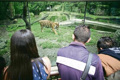 Chapultepec. Zoológico en transformación  
