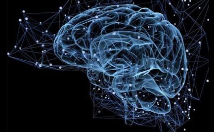 Cultivan microtejido cerebral con un chip impreso en 3D