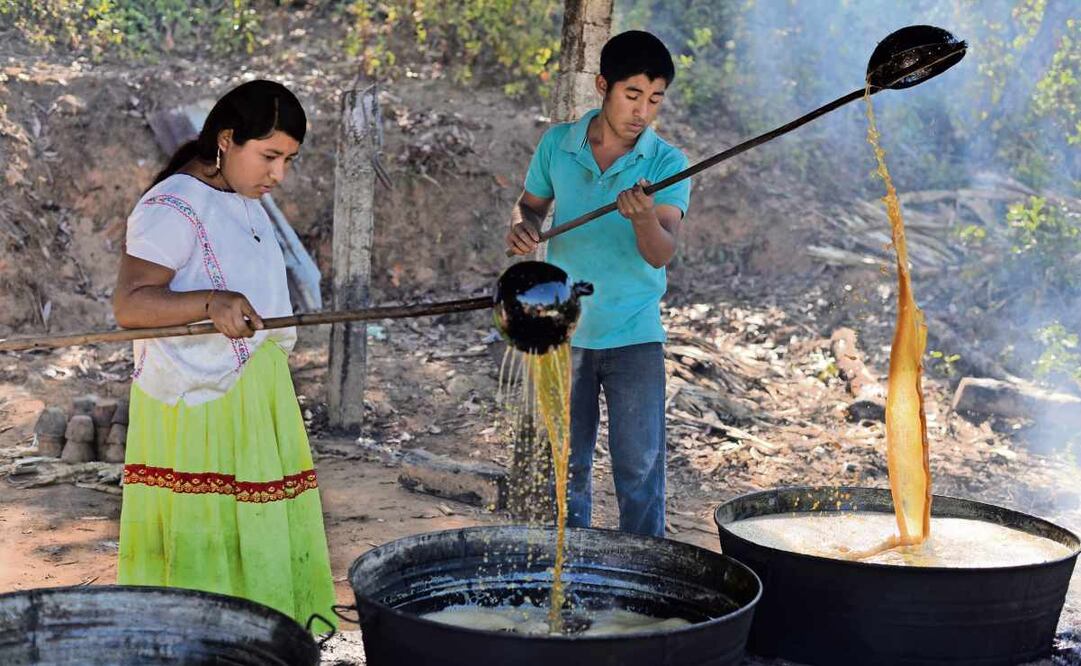 Elaboración del piloncillo 26 de enero. Foto: Salvador Cisneros / EL UNIVERSAL