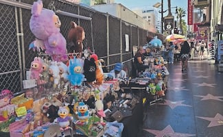 La película de Trump deja vacío Hollywood