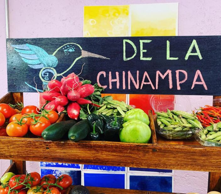 Alimentos que pueden enviarte a domicilio los chinamperos de Xochimilco