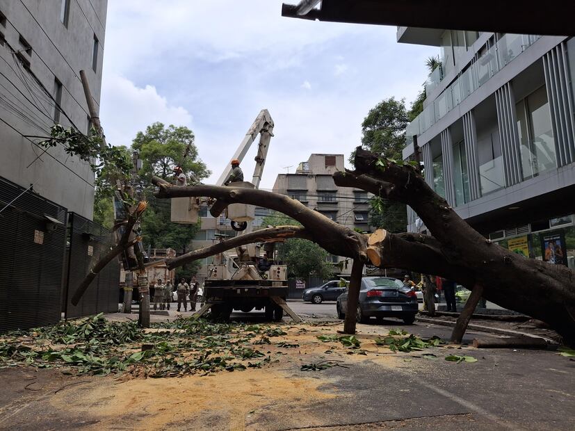Alcaldía y Blindar BJ 360° en alerta por lluvias en la capital del país. (Foto: especial)