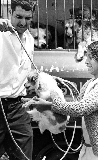 Una capitalina entrega a “Muñeca” a un empleado del Centro Antirrábico, mientras los canes del camión observan a otro desafortunado. El animal había recibido una mordida de un perro rabioso; no se supo si las autoridades vacunaron a “Muñeca” o si la sacrificaron, pues ningún vecino era su dueño. Foto: Archivo EL UNIVERSAL.