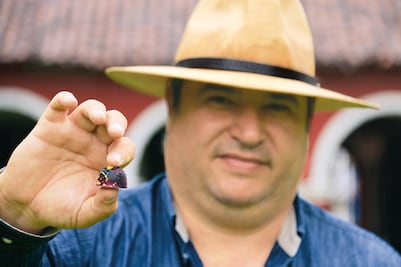 Willy Wonka mexicano crea chocolate gourmet