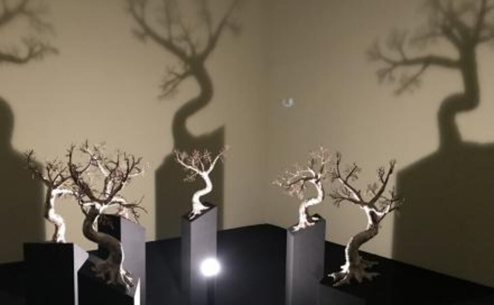 Betsabeé Romero lleva su obra a Toronto