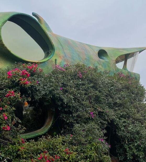 Esta es la increíble casa del arquitecto Javier Senosiain que visitó Dua Lipa en México