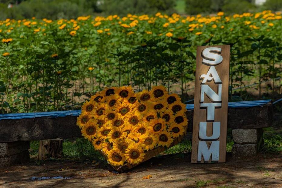 Foto: Santum