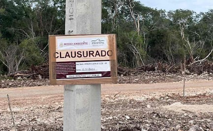 Empresa avícola viola orden de clausura de Profepa en zona arqueológica, denuncia Consejo Comunitario de Kinchil, Yucatán
