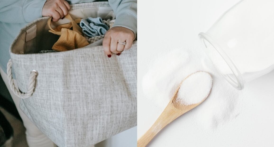 Foto: Pexels y Freepik