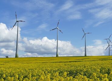 Energías eólica y solar superaron al gas por primera vez en la UE, reportan