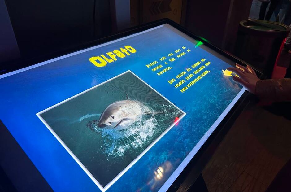 Foto: Omar Moreno. El Universal