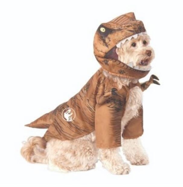 Estos son los mejores disfraces de Halloween 2019 para mascotas