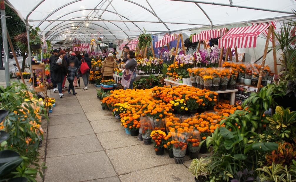 También puedes adquirir plantas y algunas botanas artesanales (29/10/2024). Foto: Especial
