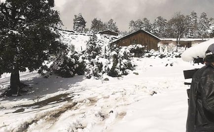 Registran temperatura de -15 grados en La Rosilla, Durango