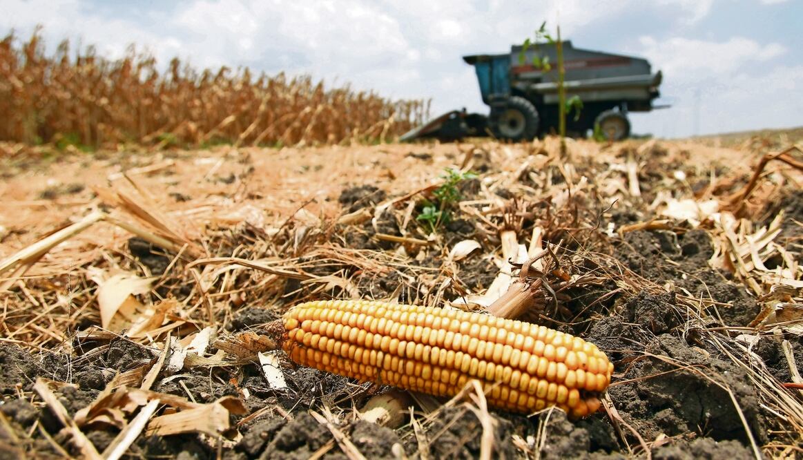 Dentro del nuevo calendario se establece que durante marzo y hasta mayo las partes acusadoras y la acusada tendrán tiempo para contestar los planteamientos que hagan entre sí. Foto: AP