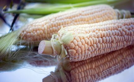 EU rechaza que los aranceles al maíz blanco les afecten debido al T-MEC