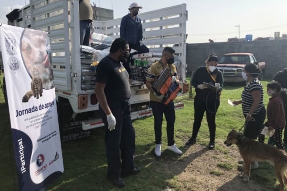 UNAM donates 33 tonnes of pet food in Mexico City