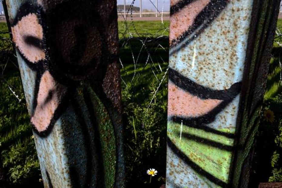 ¿Fucsia o camuflaje? Soldados de EU pintarán muro en la frontera con México