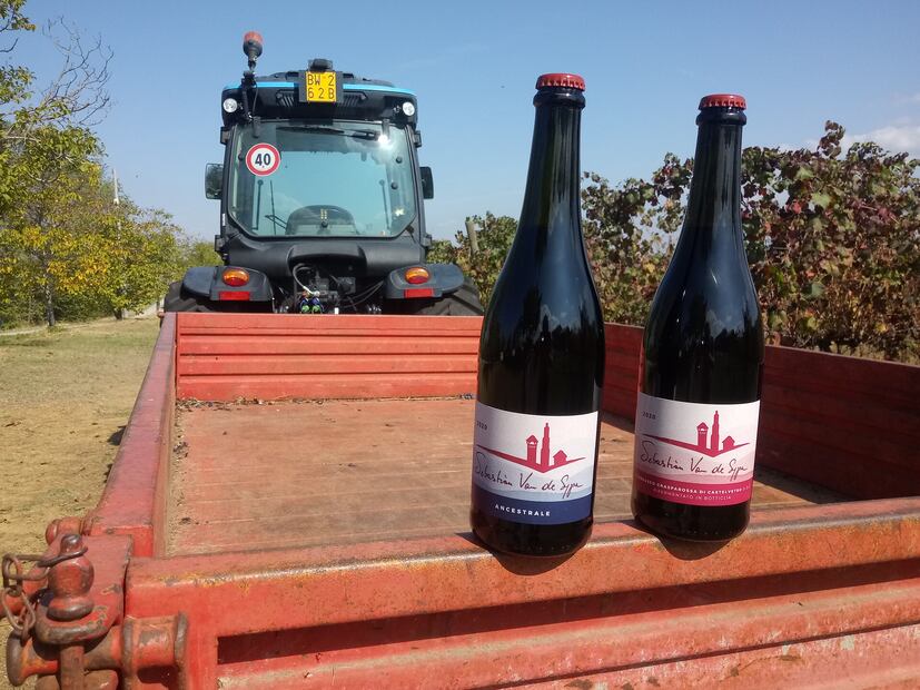 Lambrusco