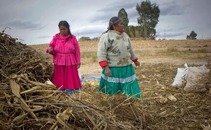 Conocimiento ancestral; descubre por qué es la “solución” al cambio climático, según experta de la ONU