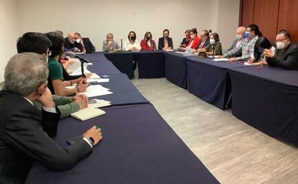 Piden a senadores la destitución de Romero Tellaeche y renuncia de Álvarez Buylla