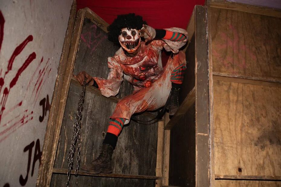 Foto: Halloweenzoo