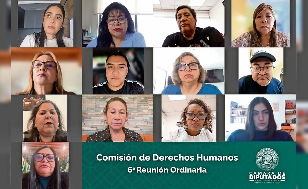 Diputados morenistas quisieron votar a distancia un dictamen referente al acceso de personas con discapacidad con animales de compañía a espacios públicos, pero el sistema APRAV no se los permitió. Foto: Especial