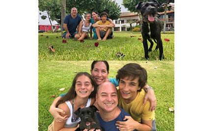 Rayo, el perro que "se ganó la lotería" en Perú