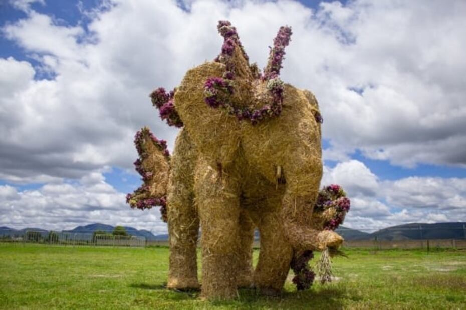 Cuánto cuestan los boletos del Festival de Paja de Atlixco