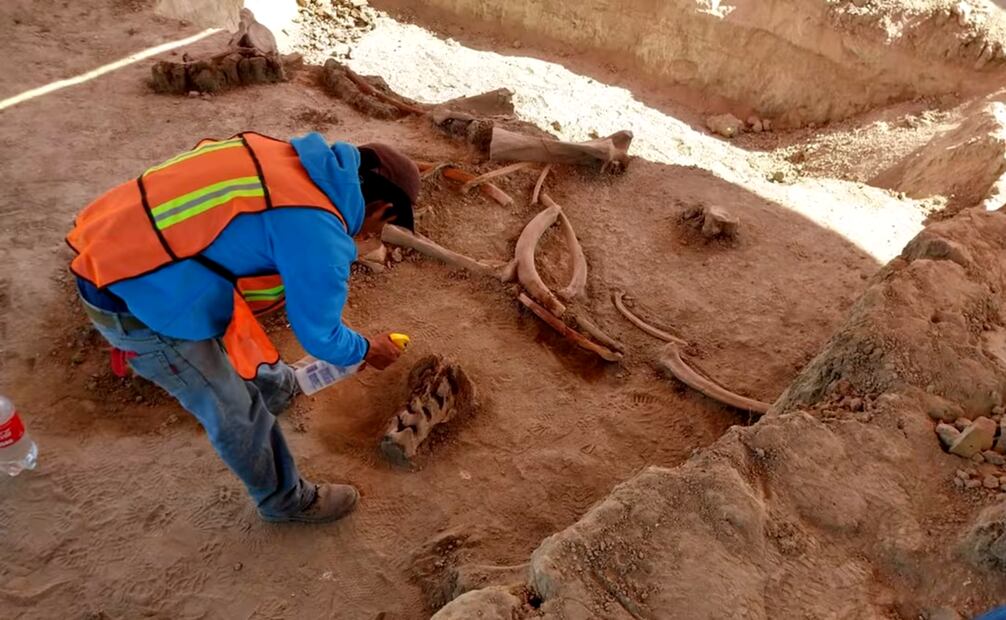 Imagen de 2019 de los trabajos arqueológicos en los terrenos de Santa Lucia, Estado de México. Foto: EL UNIVERSAL.