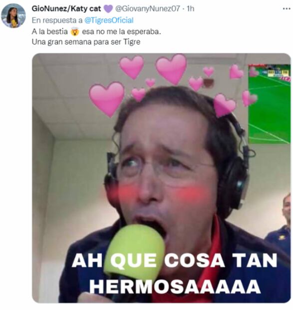 Aficionados celebran con memes el despido de Miguel Herrera de Tigres