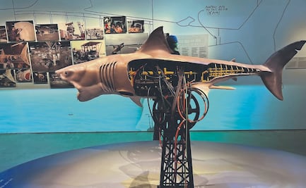 "Tiburón" acecha de nuevo a la Academia