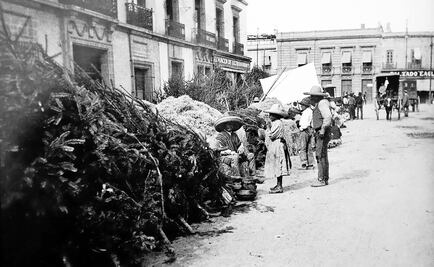 Navidad en la Alameda Central
