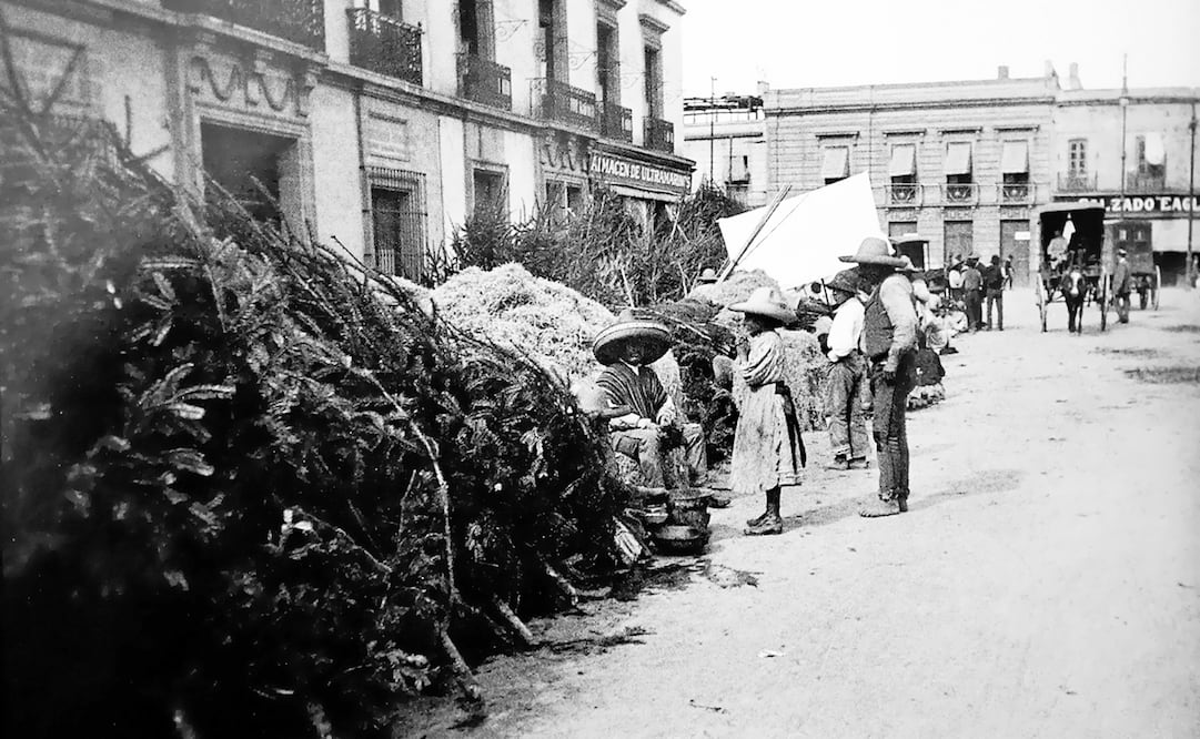 Navidad en la Alameda Central