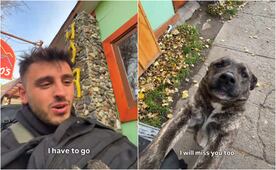 Turista estadounidense se despide de perrita que conoció en La Patagonia; video conmueve en redes