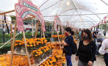 Feria del Cempasúchil estará hasta este viernes en Paseo de la Reforma 