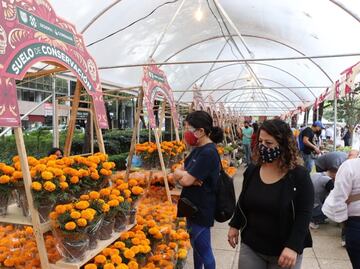 Feria del Cempasúchil estará hasta este viernes en Paseo de la Reforma