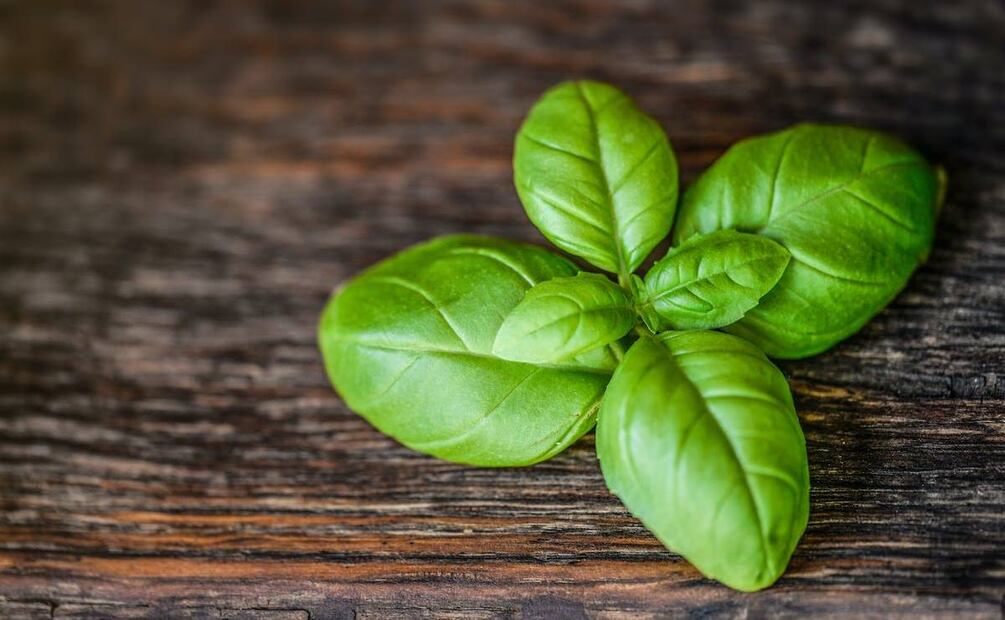Infusiones para la osteoporosis. Foto: monicore / Pexels