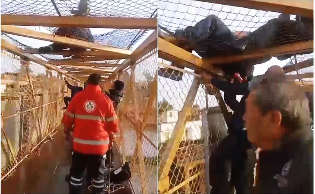 Rescatan a un hombre que intentó suicidarse desde un puente peatonal en la carretera México-Toluca. Foto: Captura de pantalla